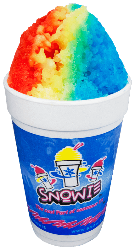 snowies shaved ice business planning and decision making